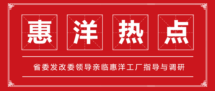 省委發(fā)改委領(lǐng)導(dǎo)親臨惠洋工廠(chǎng)指導(dǎo)與調(diào)研